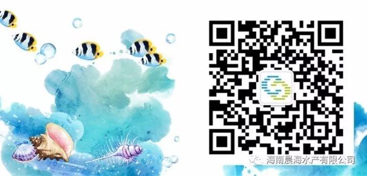 1597980797869745.jpg 5.jpg